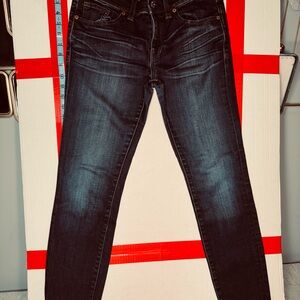 Madewell Skinny Skinny Jeans – Size 27 – Dark Wash – Stretch Denim